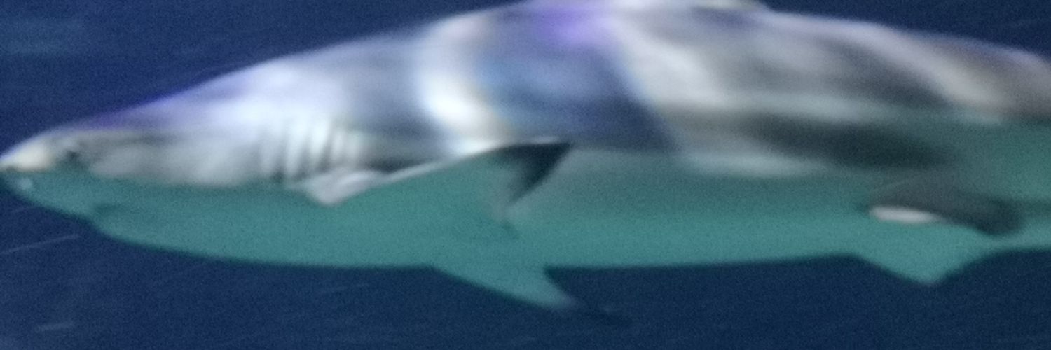 Dr Longdongler's banner