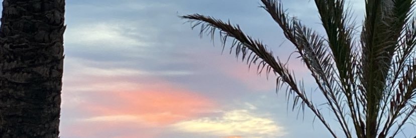 julia__pascual's profile banner image