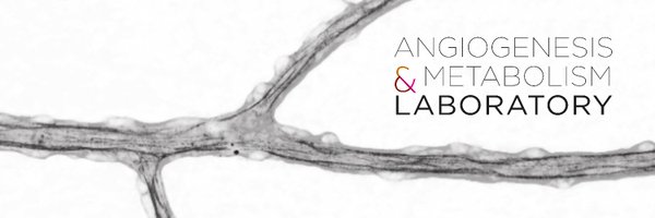 PotenteLab Profile Banner