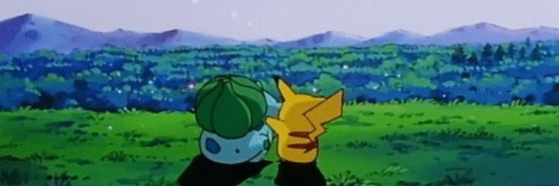 Raymond Pines banner