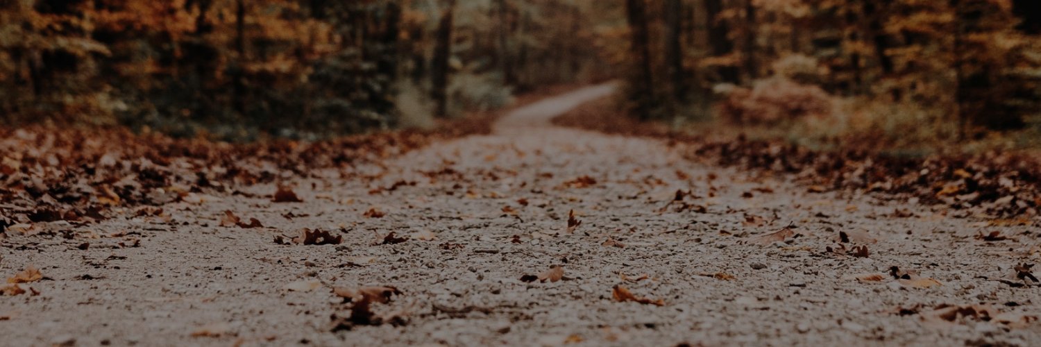 mar_marshmellow's profile banner image