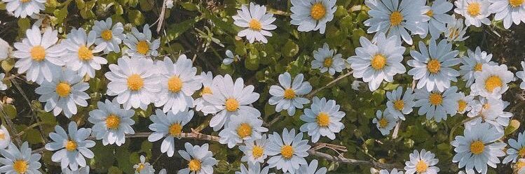 Iamlittlesweet's profile banner image