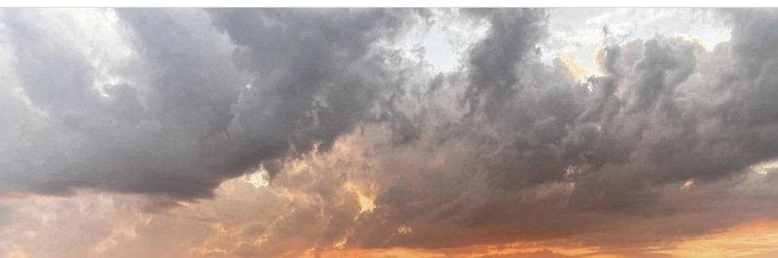 pocketsizedpena's profile banner image