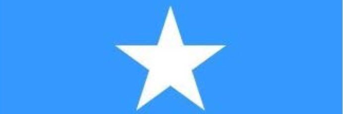 Hon Sadik Warfa banner