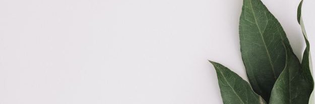 aprilphilp's profile banner image