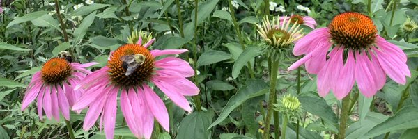 ClaireD4607 Profile Banner