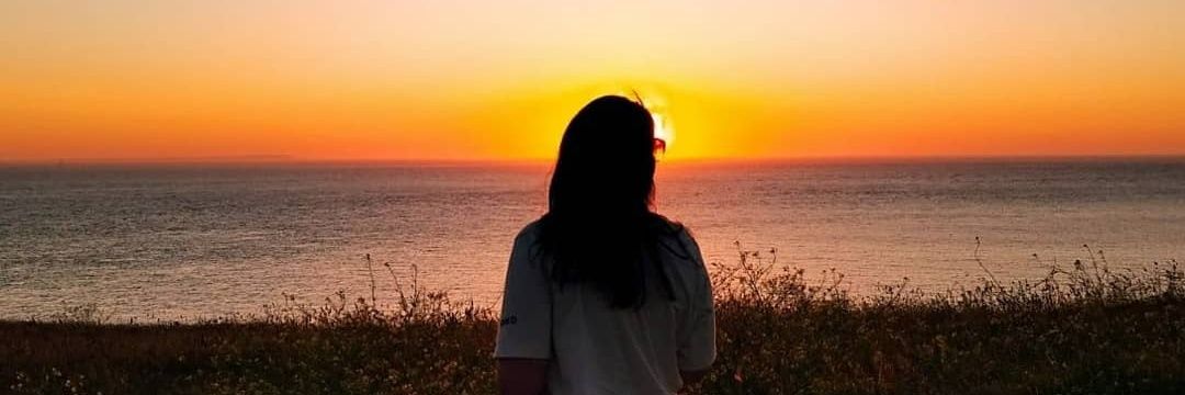 artaemys's profile banner image