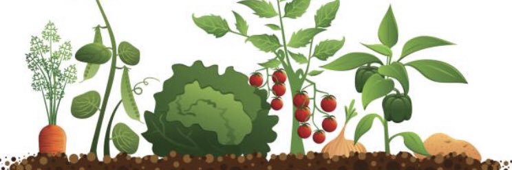 Old Colony Garden banner