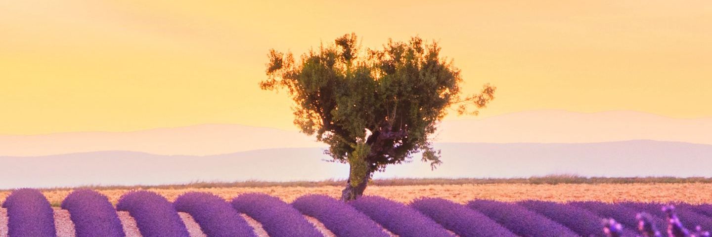 IceAkawar's profile banner image