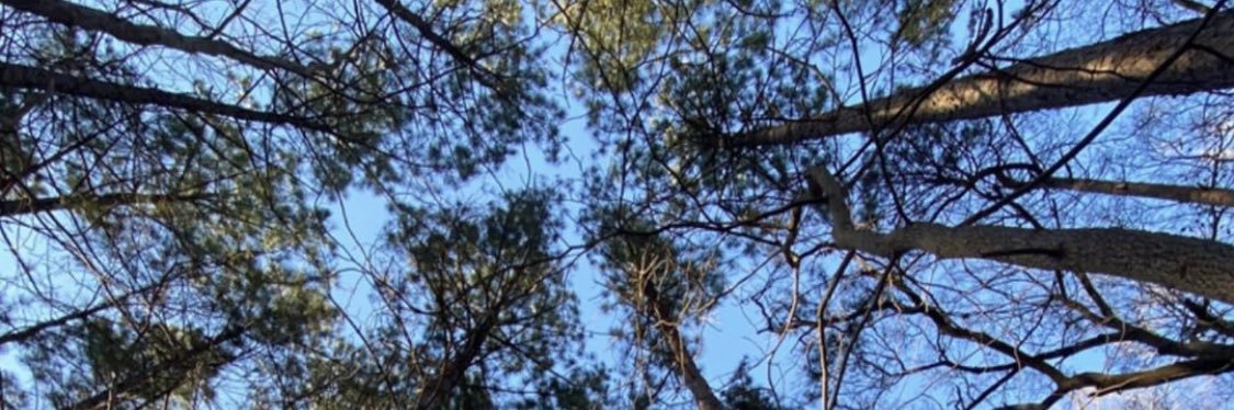 Big_Boone's profile banner image