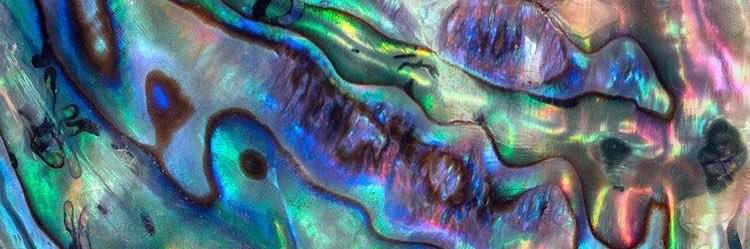 JesseniaIngram's profile banner image