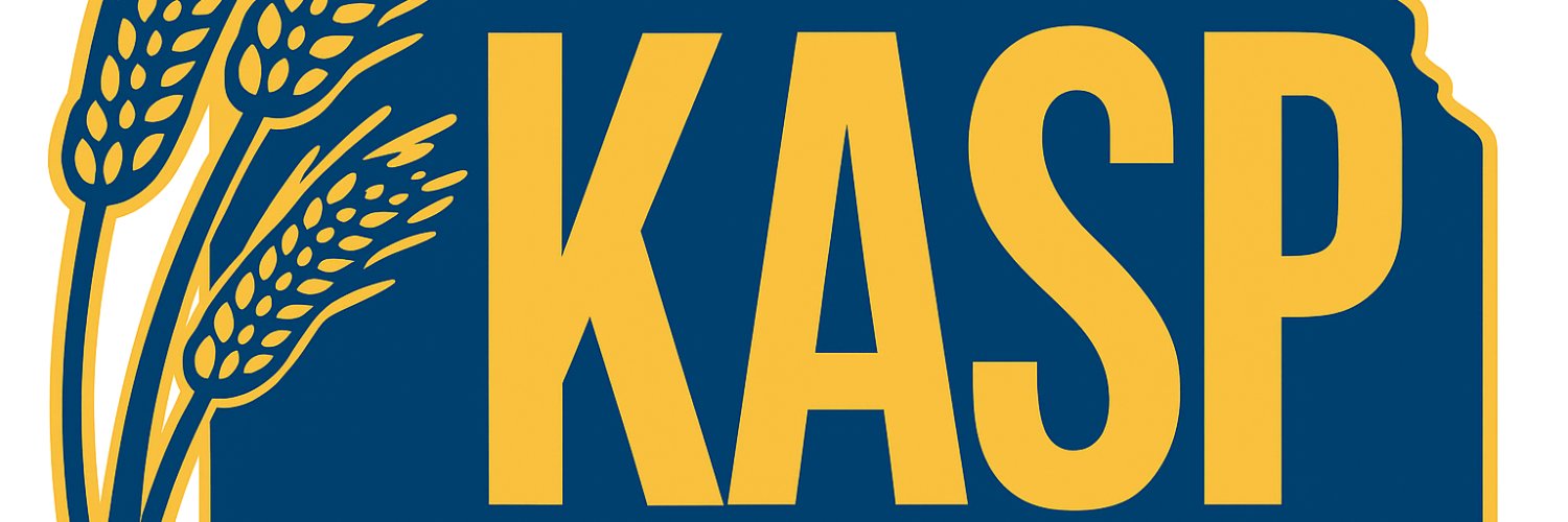 KASPonline's profile banner image
