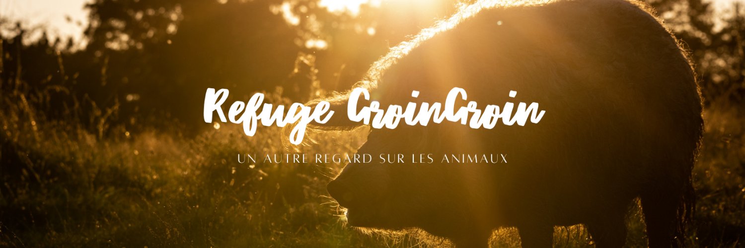 Refuge GroinGroin&Co 🐷 banner