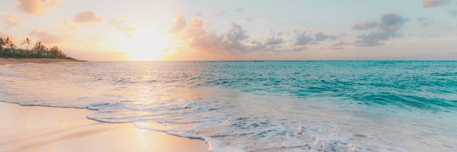 James Brown🏴‍☠️ banner