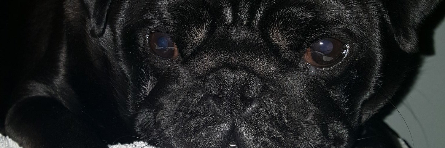 Weesarahlou's profile banner image