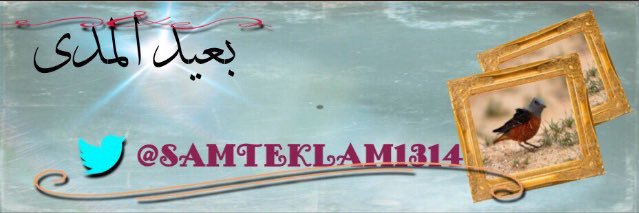 samteklam1314's profile banner image