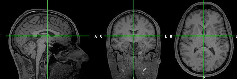 Taylor Hanayik, PhD banner