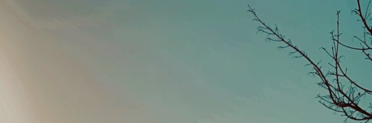 Pablo banner