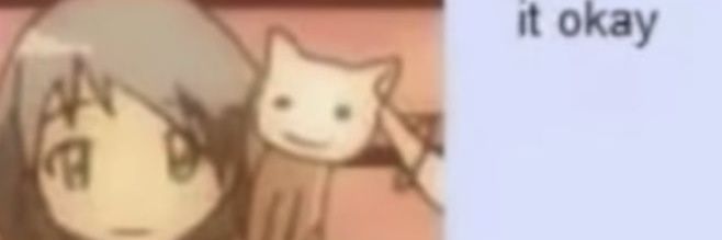 princess irite banner