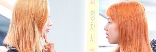 𝗮𝗽𝗿𝗶𝗹~🏳️‍🌈 ||| ᴅʜᴄʏ. banner