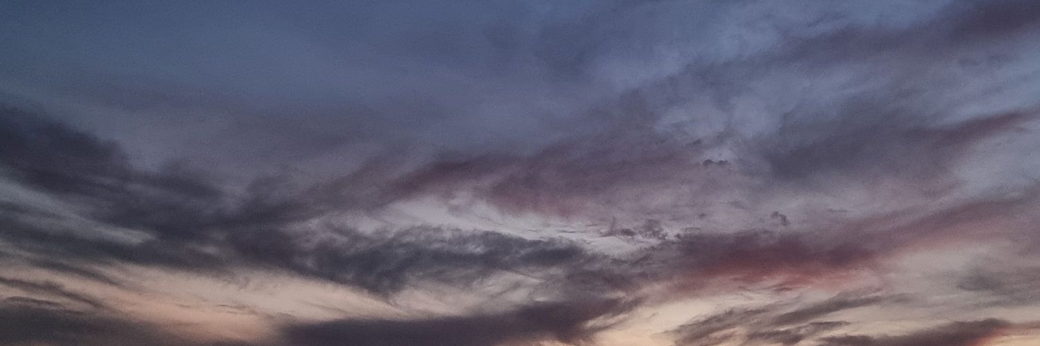 danna9ii's profile banner image