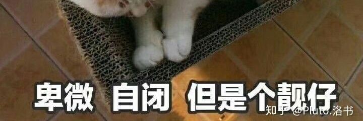 yang_xu520's profile banner image