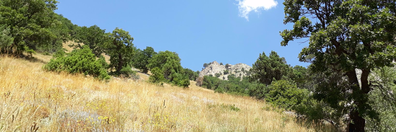 Turan DAĞAŞAN banner