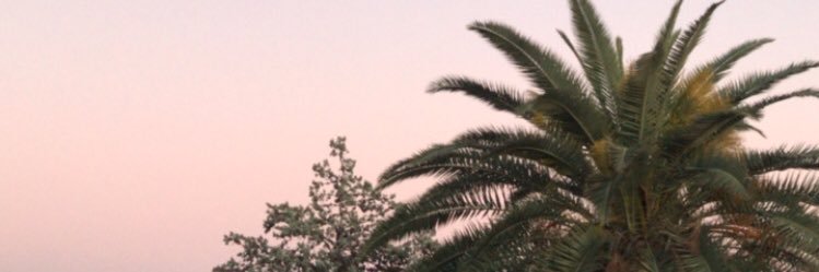 dargenziob's profile banner image