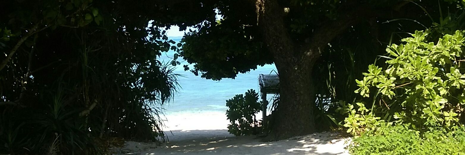 bareutubo's profile banner image