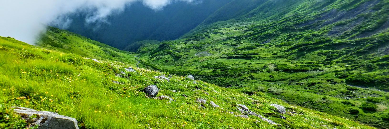 ストライダー麻美RX🐰 banner