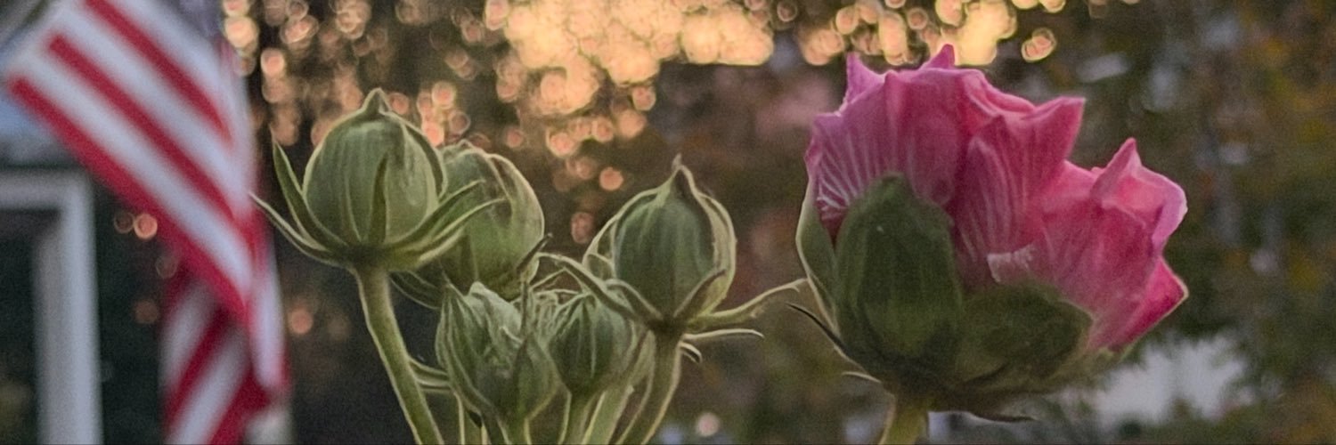 macewan's profile banner image