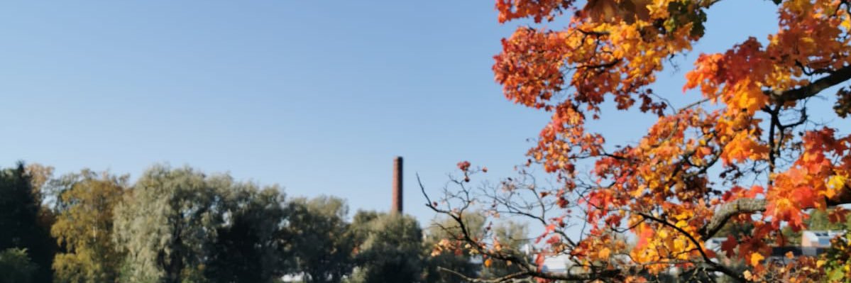 TyttiPuuskari's profile banner image