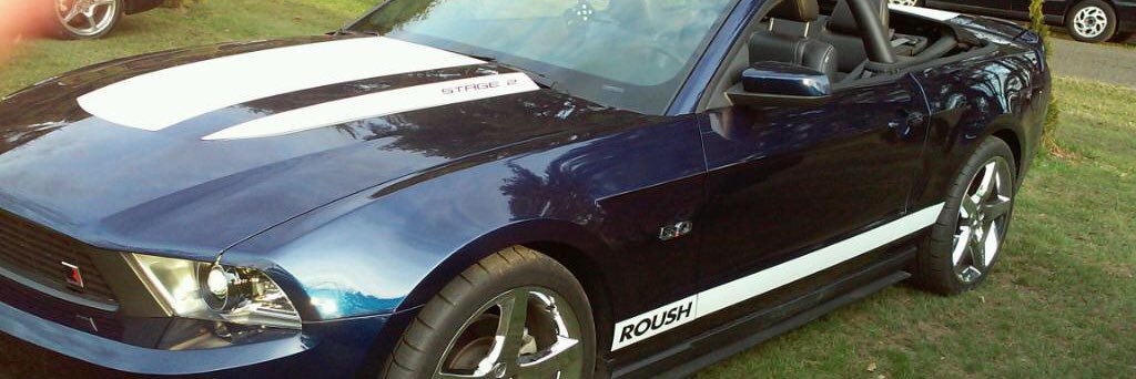 Mustang Sally banner