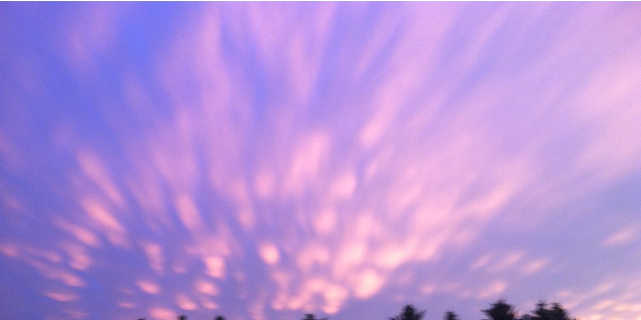 Mikal H Terry banner