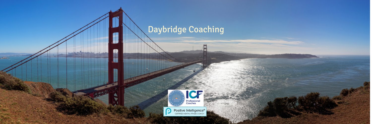 Daybridge Coaching banner