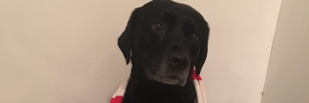 Micky_Felly's profile banner image
