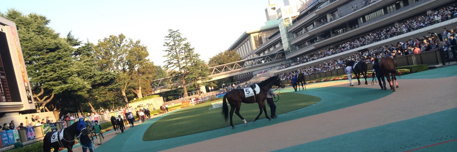 えり@一口馬主(シルク/ サンデー/ノルマン/DMM/キャロット) banner