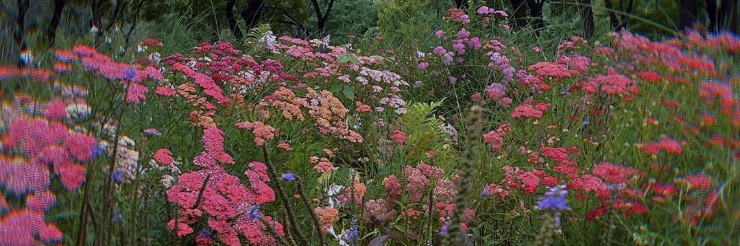 Lip 👄（推荐版） banner