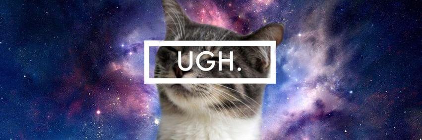 AnimalSpotting's profile banner image