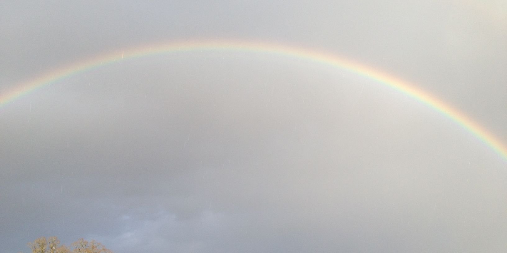 Matthew Darragh banner