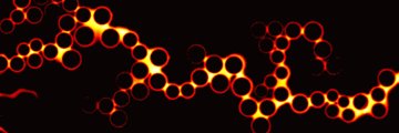 ZhaoRobin's profile banner image