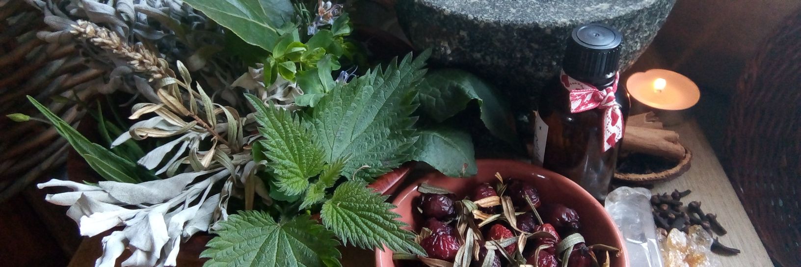 Kate # Krystal Touch banner