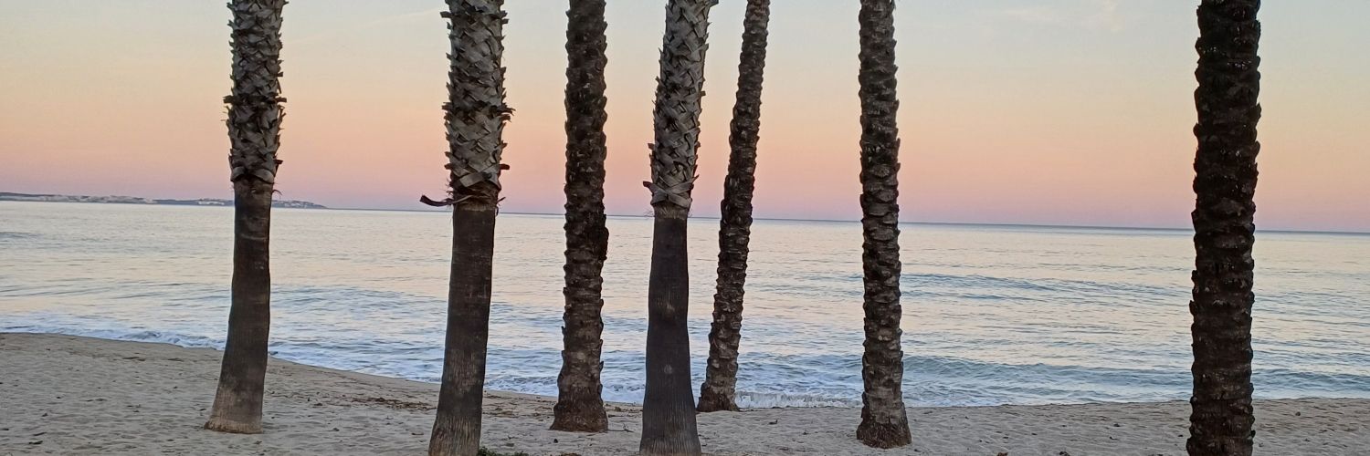 Arés Tubau Pomareda banner