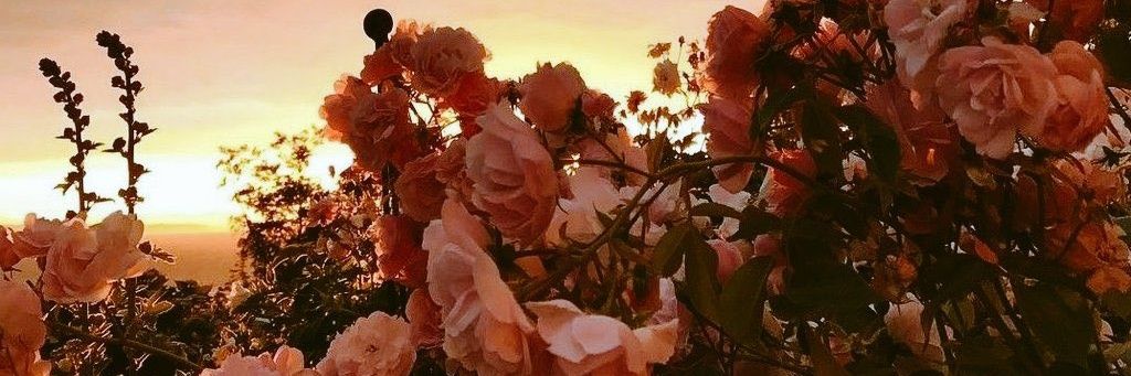 PaulaPmi's profile banner image
