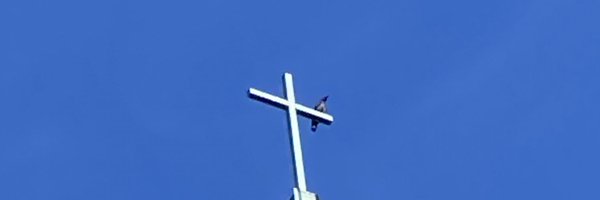 MattDraugos Profile Banner