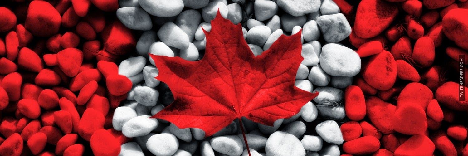 AllysonCormier's profile banner image