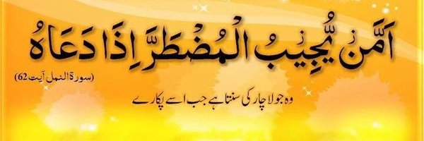 Fatima_Adil3 Profile Banner