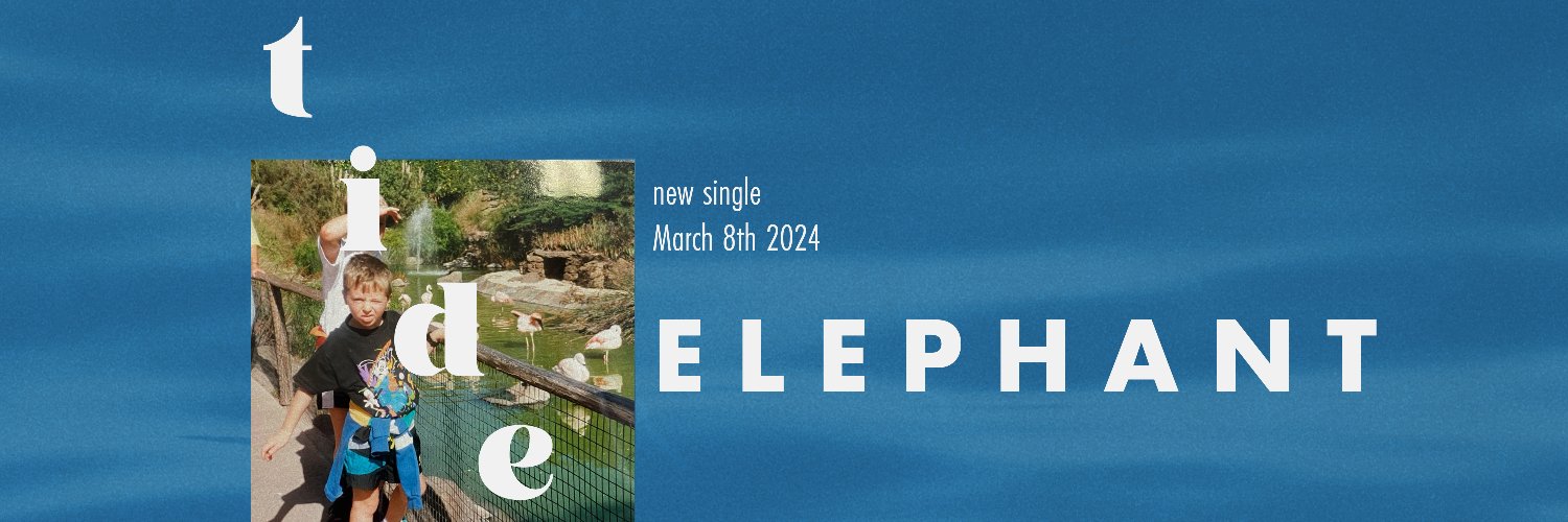 weareelephants_'s profile banner image