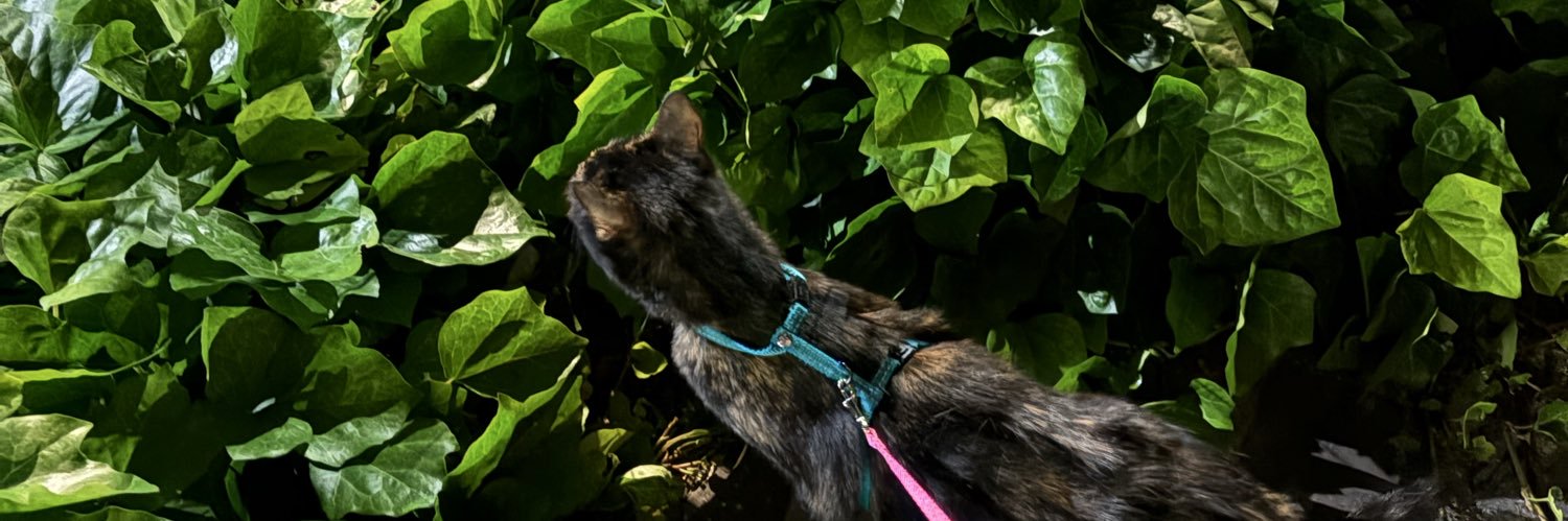 jxlie_s's profile banner image