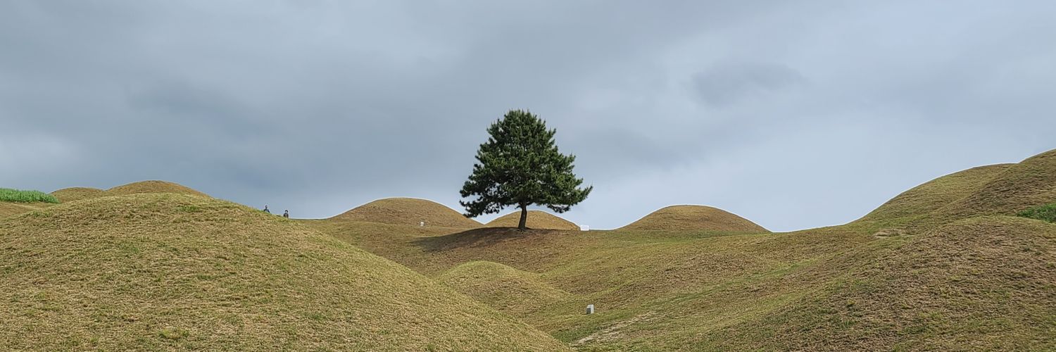 NuevoSempre's profile banner image
